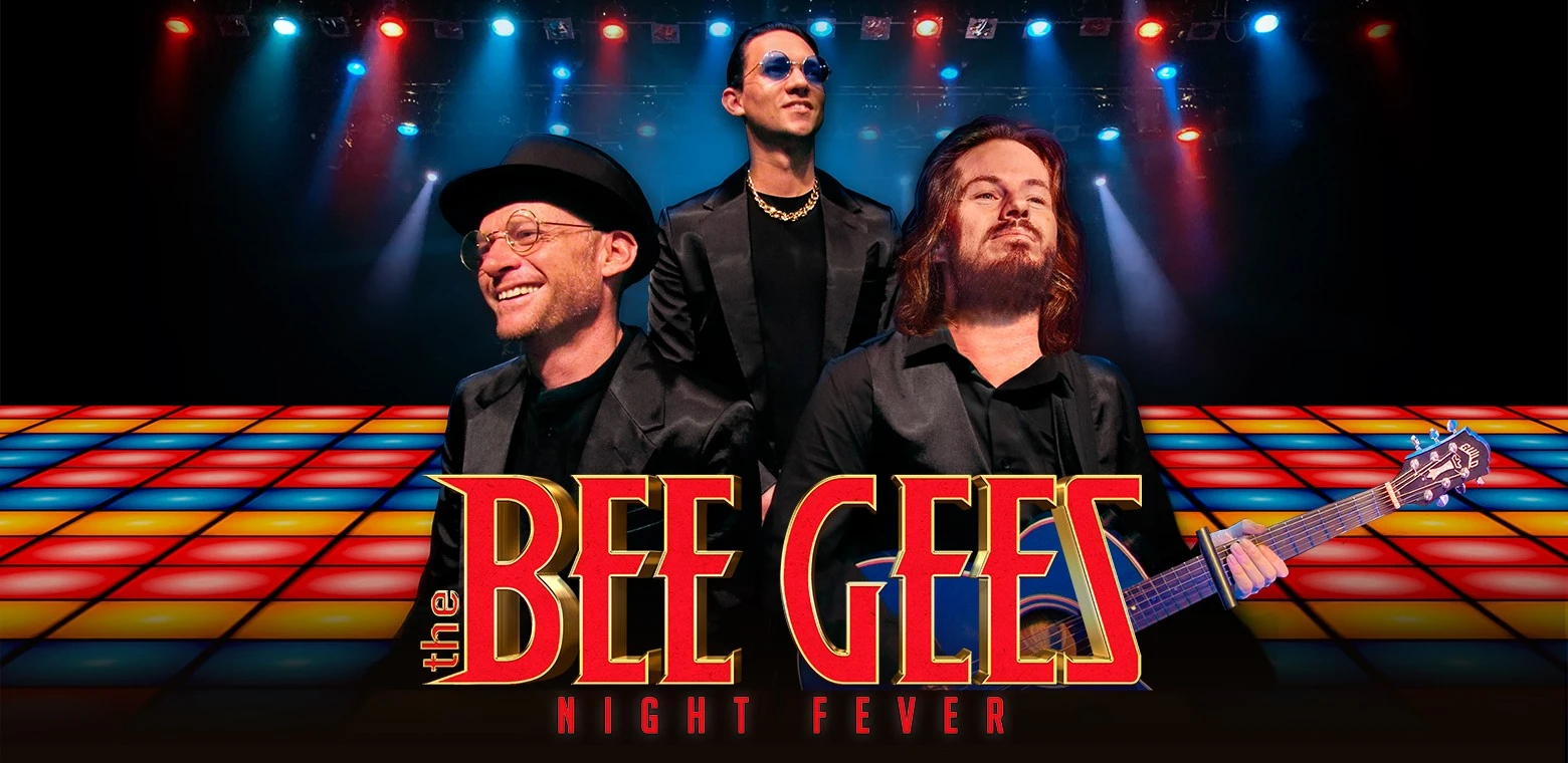The Bee Gees Night Fever