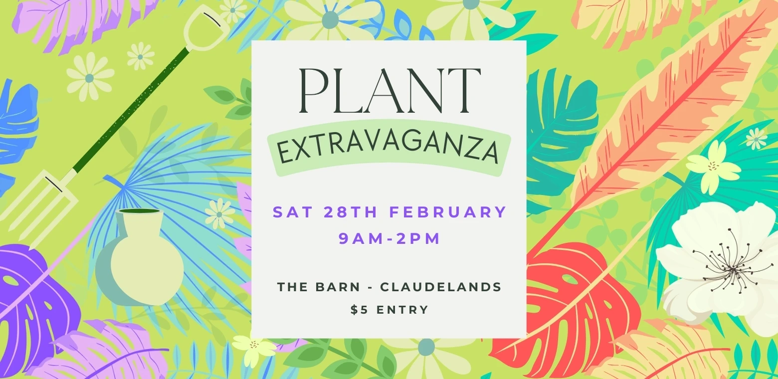 Plant Extravaganza