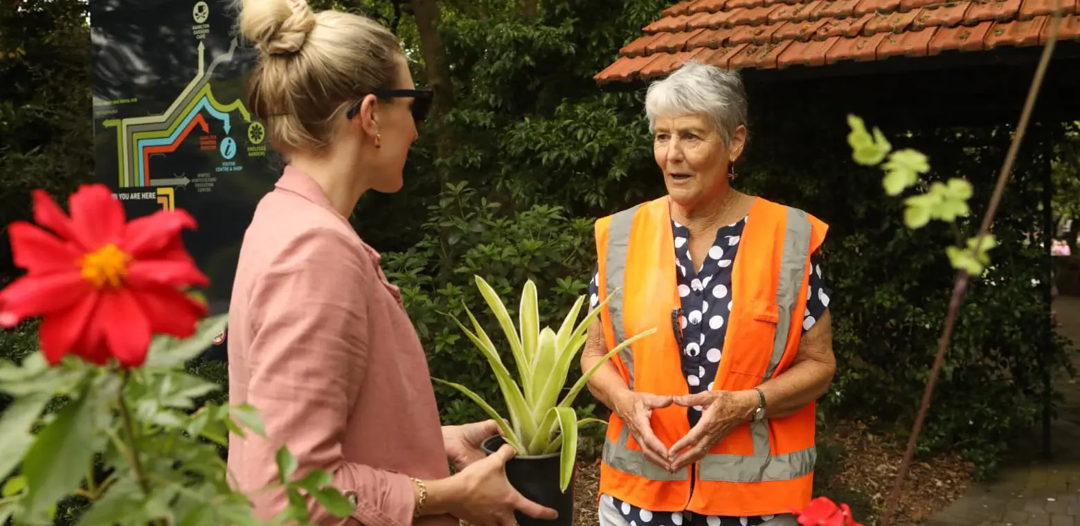 Friends of Hamilton Gardens Plant Sale