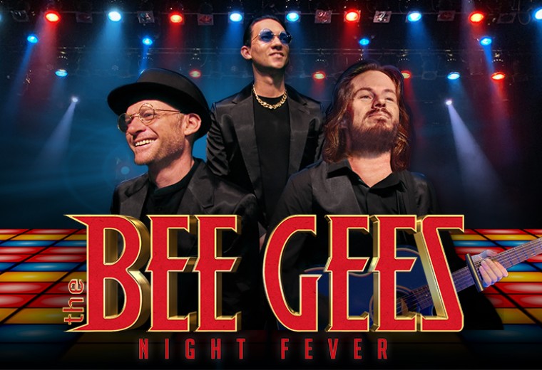 The Bee Gees Night Fever