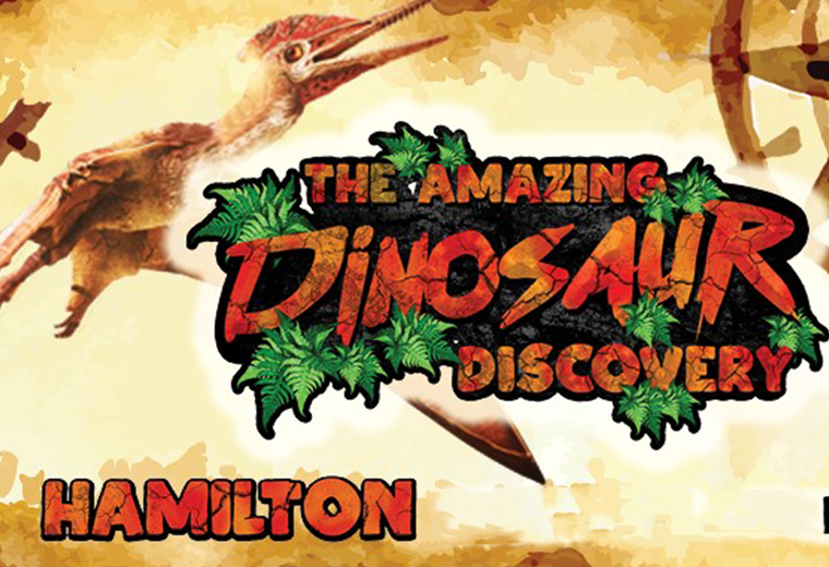 The Amazing Dinosaur Discovery